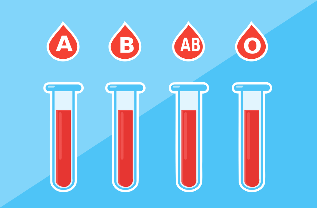 Υπάρχουν 4 ομάδες αίματος - Α, Β, ΑΒ, Ο